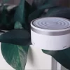 Smart Speaker Grey with Plant