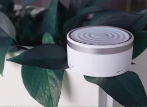 Smart Speaker Grey with Plant